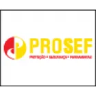 PROSEF - PROTEÇÃO SEGURANÇA E FERRAMENTAS