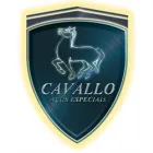 CAVALLO AÇOS ESPECIAIS LTDA