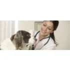 PLANO DE SAÚDE ANIMAL CAMPINAS