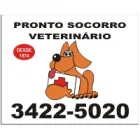 PRONTO SOCORRO VETERINARIO 24H