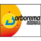 BORBOREMA MUDANÇAS & TRANSPORTES