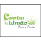 CAPIM LIMÃO FLORES E PLANTAS ME