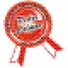 INSTITUTO EDUCACIONAL PEDRO CALMON