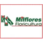 FLORICULTURA MILFLORES