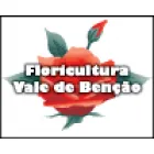 FLORICULTURA VALE DE BENÇÃO