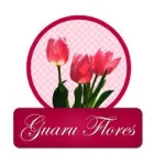 FLORICULTURA GUARU FLORES