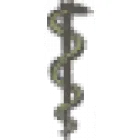 DENISE BRISOLARA MECHEREFFE PSIQUIATRA